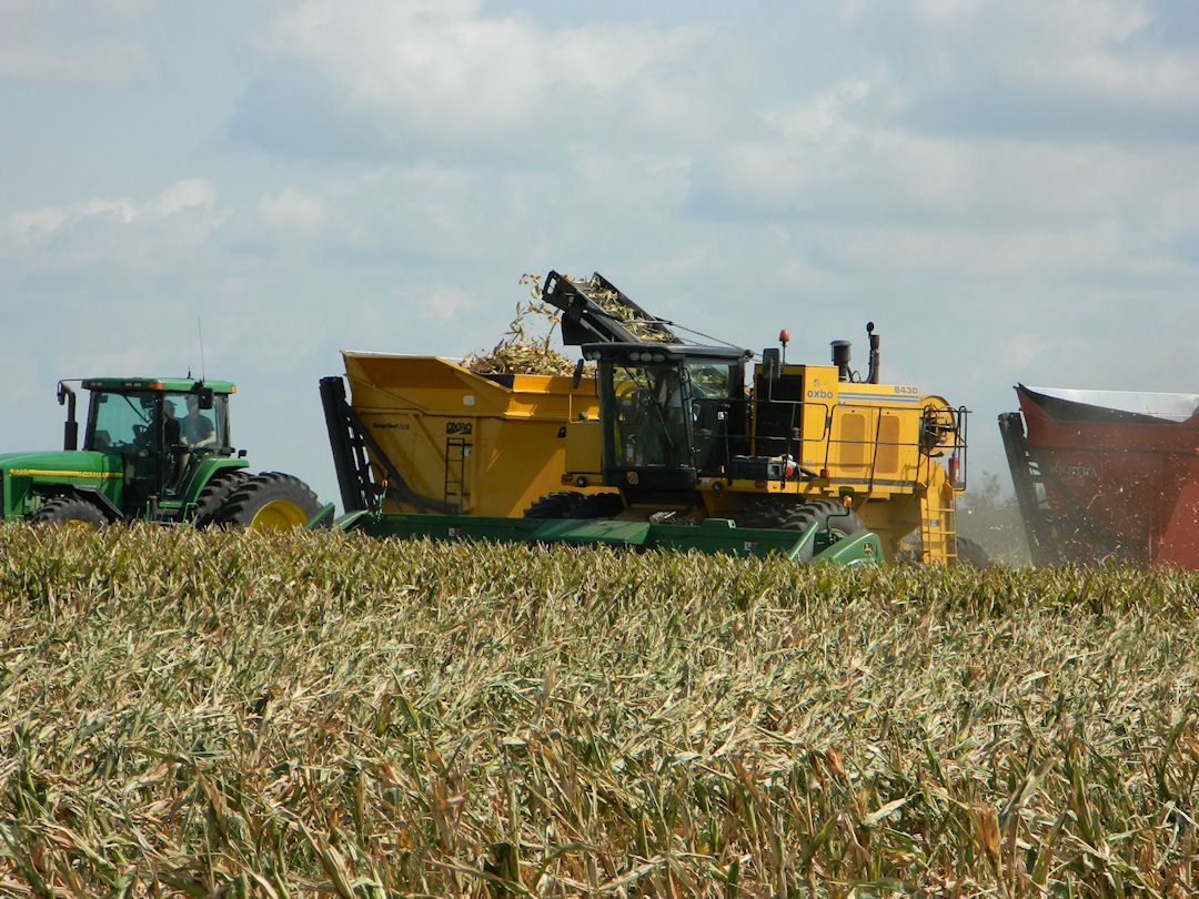 farmland photo