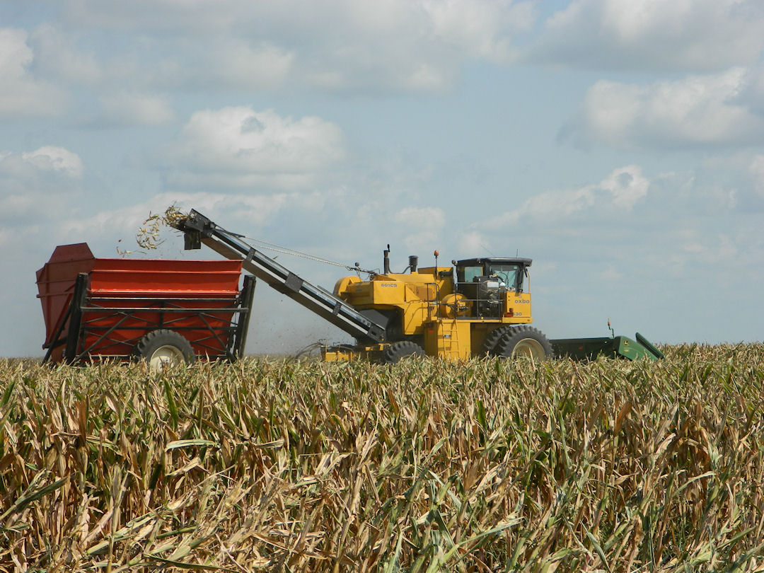 loading truck with corn