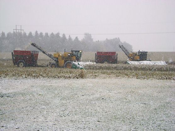 farmland photo