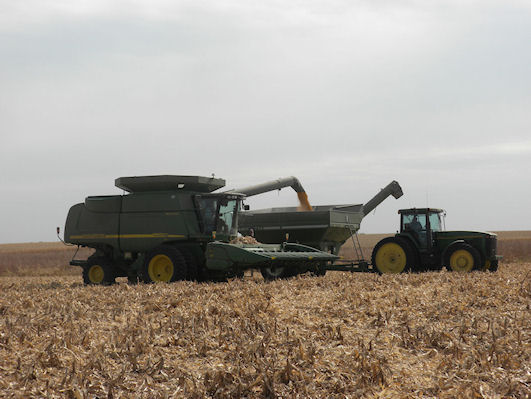 harvest in the field